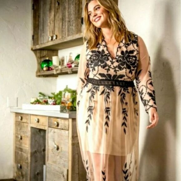 ARULA Dresses & Skirts - NWT A Beautiful Soul Arula Sz X 10/12 Sheer Floral Vneck Long Sleeve Maxi Dress